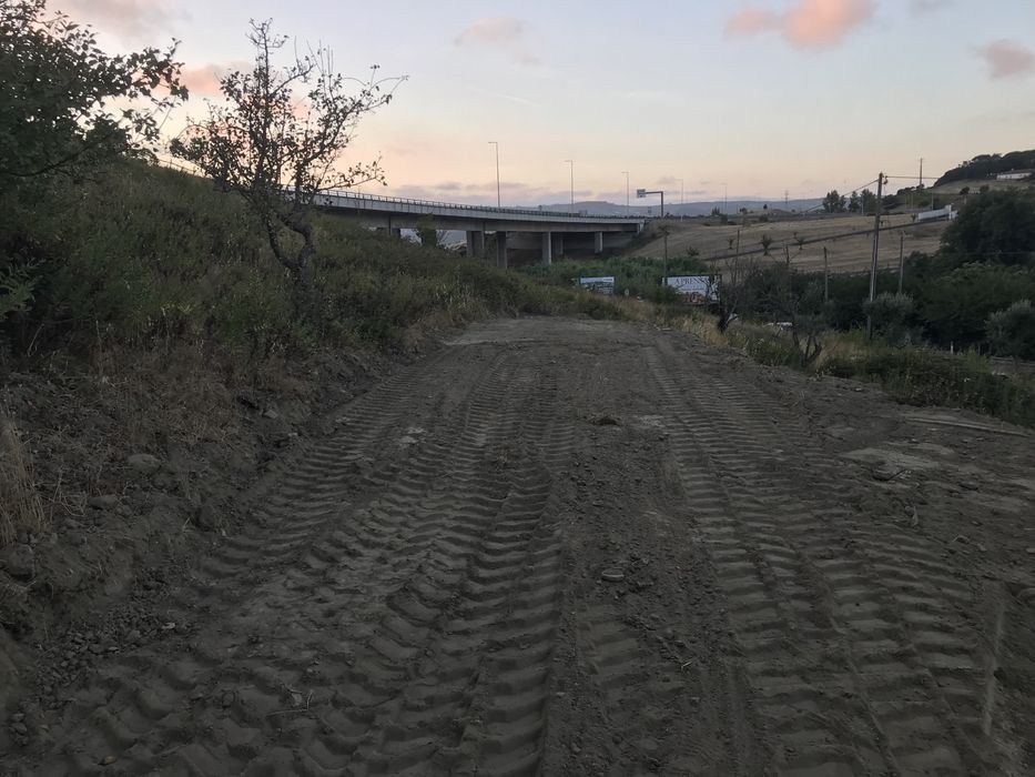 Limpeza de terreno