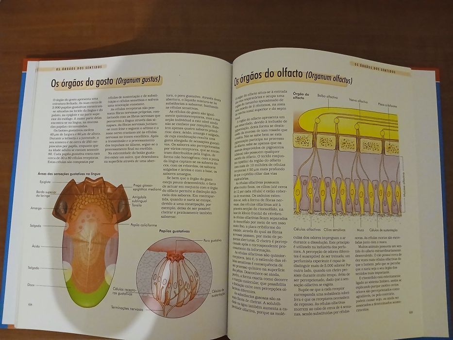 Livro O corpo humano