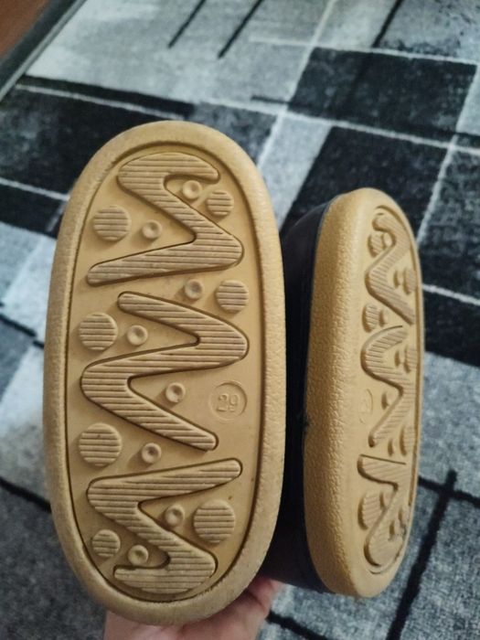 Чобітки дутики луноходи сноуби