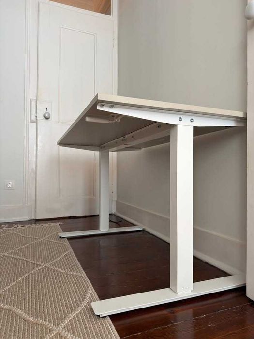 Ikea Trotten Sit/Stand Desk and Langfjall chair