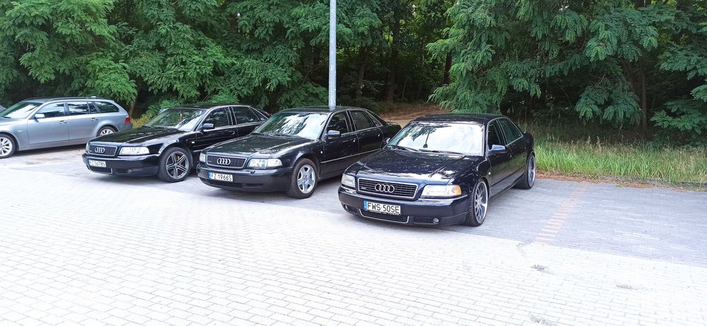 Audi A8 3.7 quattro  V8 German Style / USA / 3tgl 20'' / Wydech kwas