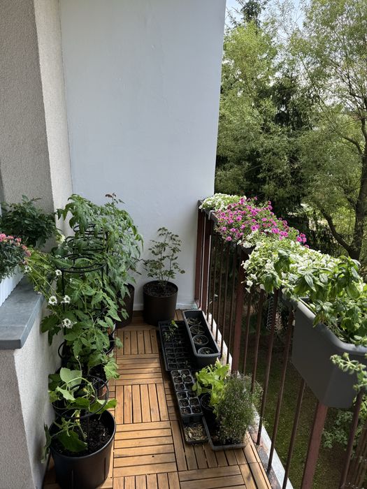 Jasne 3 pokoje po generalnym remoncie | balkon | 52m | zielona okolica - Więcej