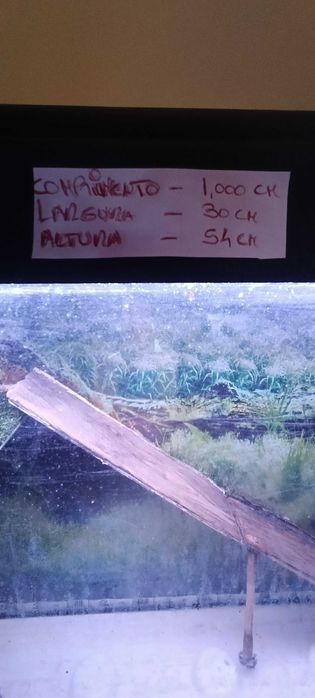 "Oportunidade"Aquário e móvel