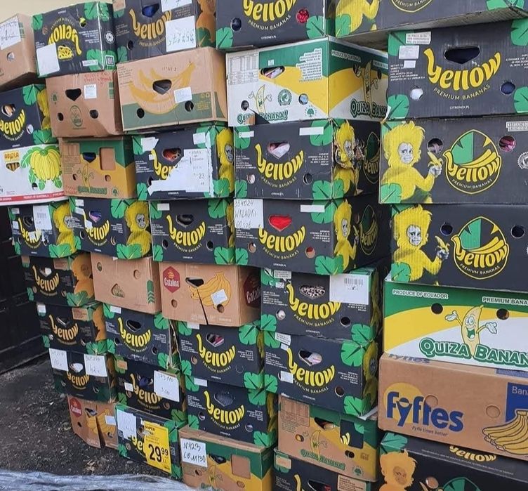 Szkoła mix cały karton bananowiec