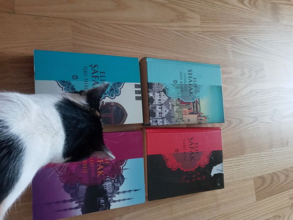 Elif Shafak Bękart Pchli Czarne Czterdzieści