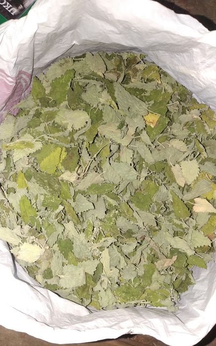 меліса полин нехворощ хміль шишка