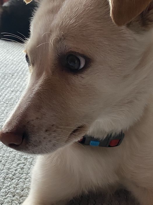 Енергійна красуня шукає родину