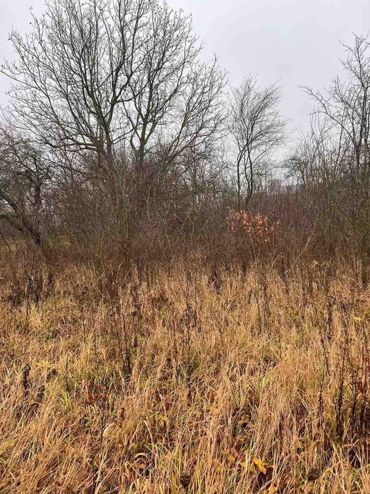 Продам земельну ділянку під забудову в с.Некрасове 7218