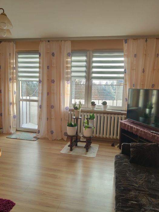 Wynajmę mieszkanie Rzgów