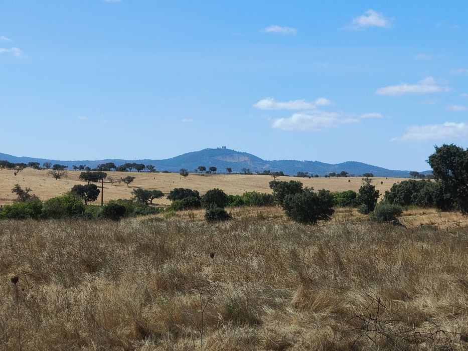 Propriedade junto a Estremoz