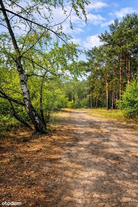 Pilna sprzedaż 6642m2 Malcanów