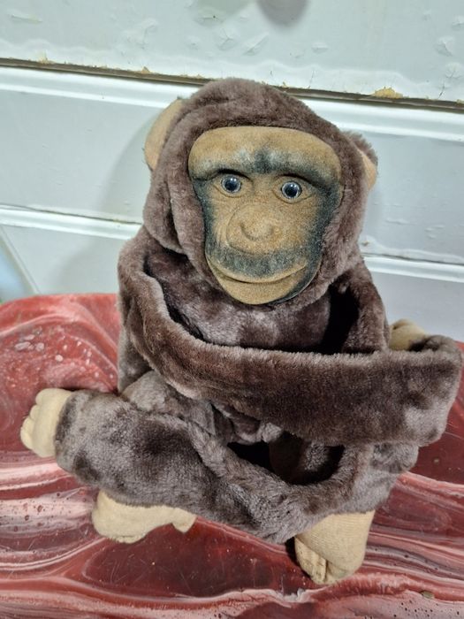 Varios peluches em muito bom estado e lavados