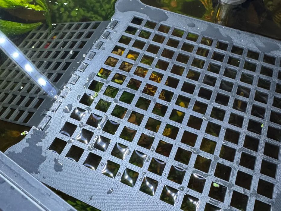 Plataforma Flutuante para Tartarugas