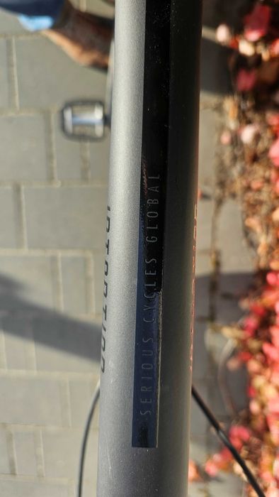 Serious Intention Street 58cm rower miejski 2021