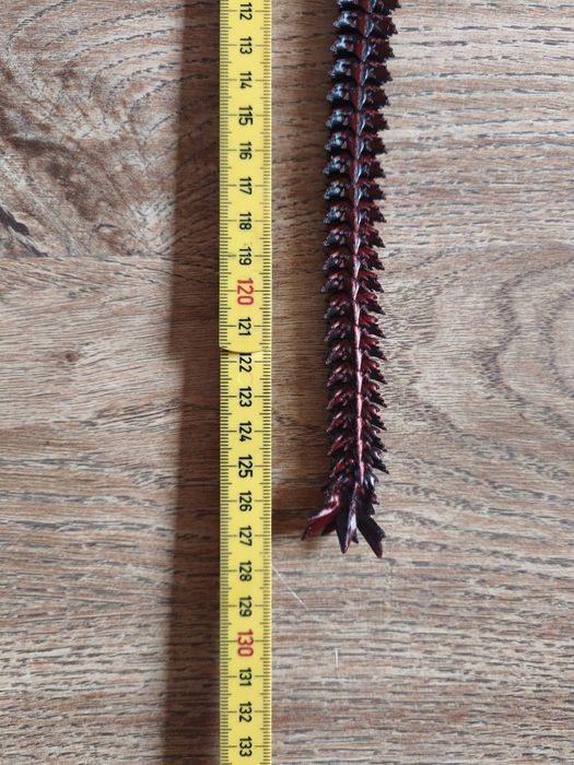 Smok Kryształowy 3d XXL 127cm