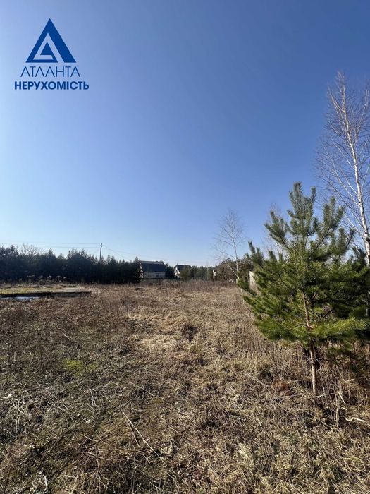 Пропонуємо до продажу 2 суміжні земельні ділянки  в селі Озерце.