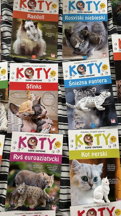 Kolekcja Koty z figurkami 25 sztuk