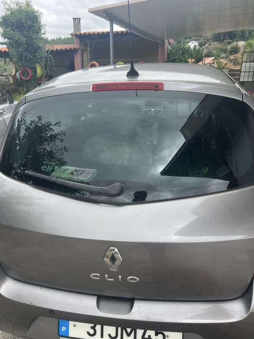Renault clio eco