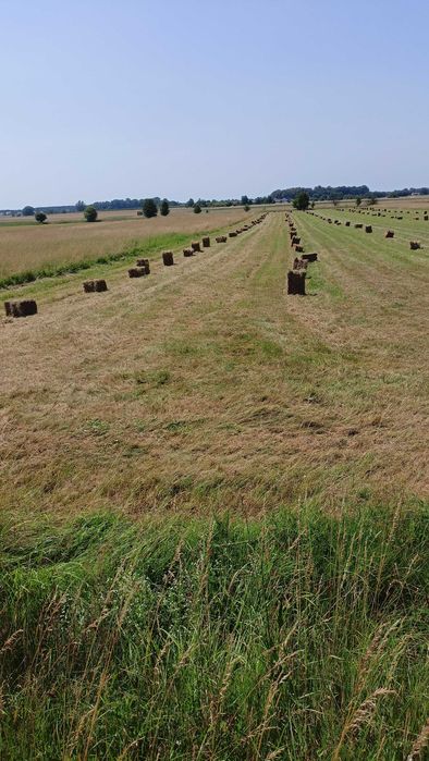 Siano w kostkach, słoma