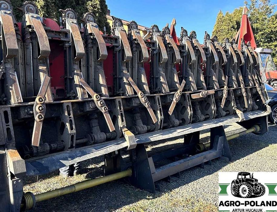 Кукурудзяна жатка - OLIMAC DRAGO 2 - S 8 TR - 8X70 - 2017 рік