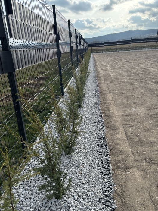 Uslugi ogrodnicze,glebogryzarka separacyjna,