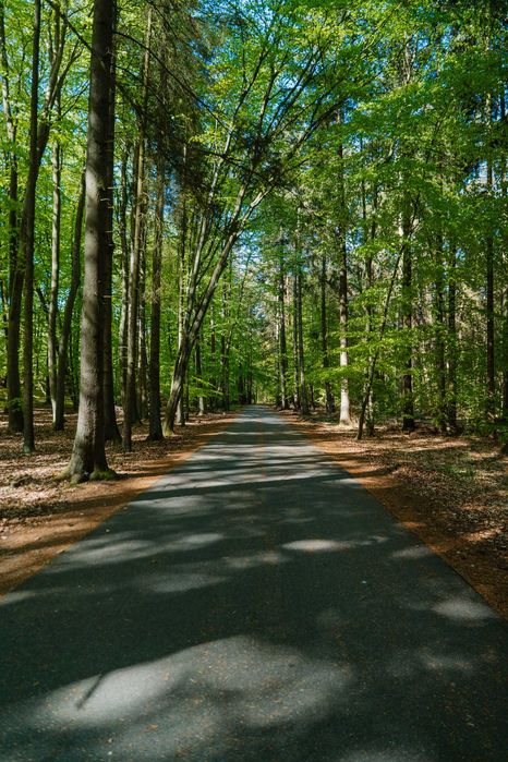 Domki Nad Morzem Mielno Basen Rowery Sauna Wędkowanie Plac Zabaw Domek D