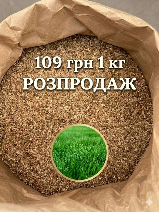 Насіння універсальної газонної трави / Семена газонных трав / Семена газонной травы универсальной
