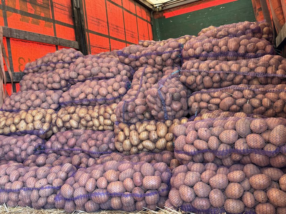 Продам картоплю та моркуву