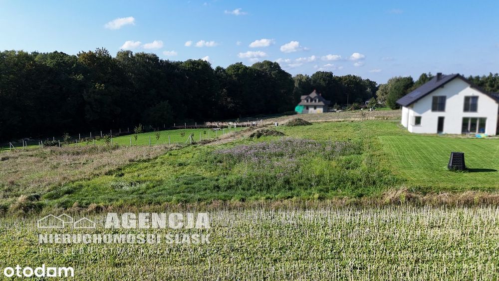 Ładna dz. Cz-Dz płd, nowe sieci. Widoki!