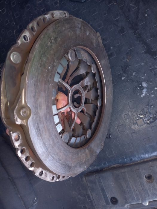 Щеплення wV t 5 gp 2010 рік