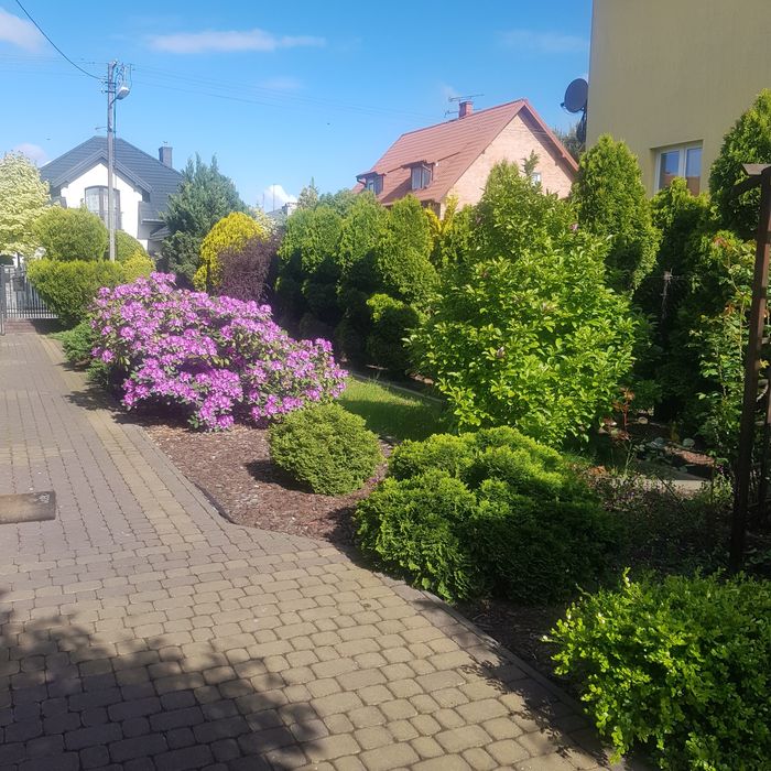 Wynajme kawalerkę (oddzielne mieszkanie w domu jednorodzinnym)