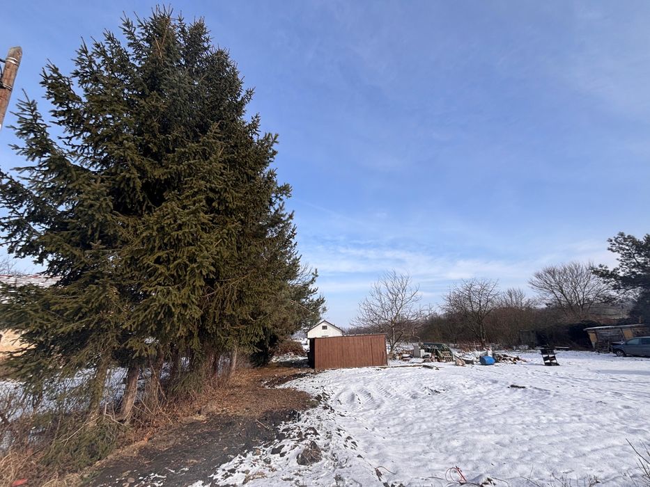 ZLECĘ Wycinkę drzew