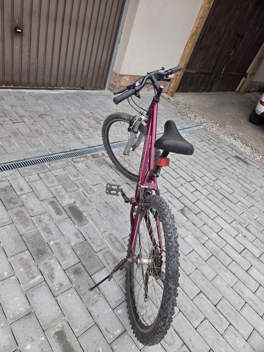 Rower Scirocco damski