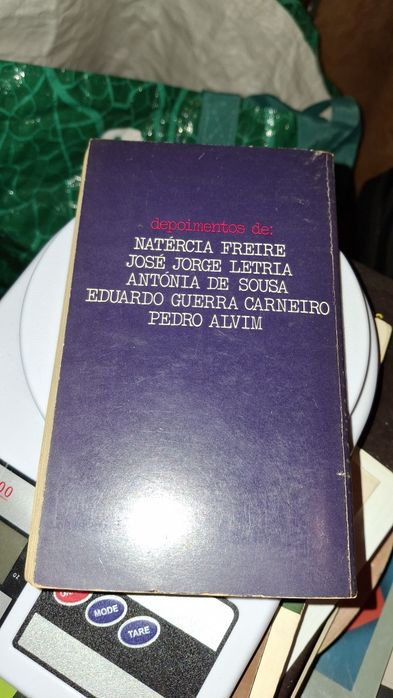 Maria Teresa Horta amor livre