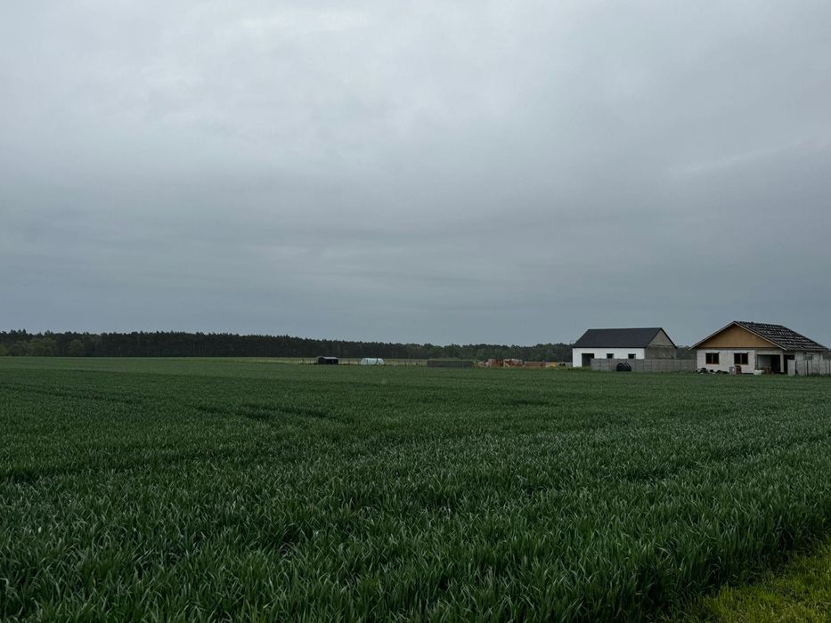 Sprzedam działkę budowlaną z WZ - Widok 3