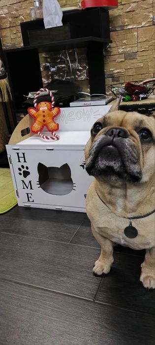 Домик для кота двухэтажный из дерева