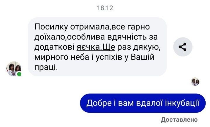 Інкубаційне яйце перепелів породи Смокінг, Техас та Селадон