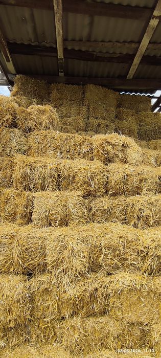 Продам ячмінну солому.
