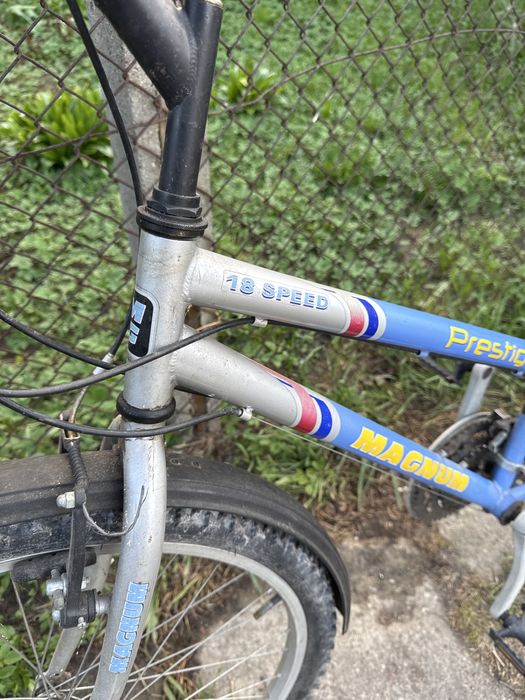 Rower miejski magnum