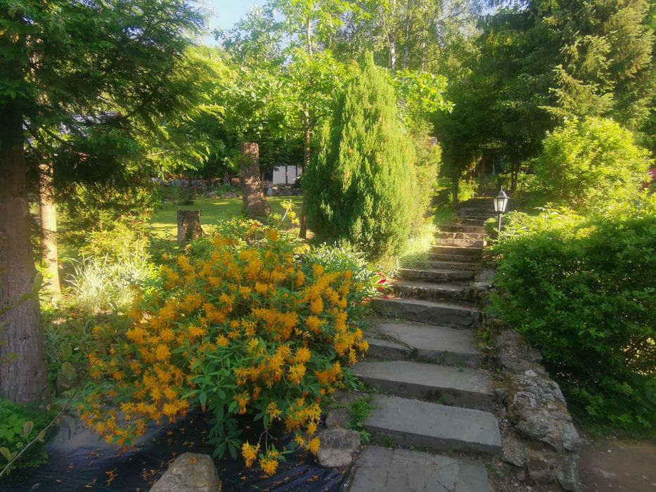 Dom w górach wyłączność Święta Sudety Góry Sowie  widok noclegi