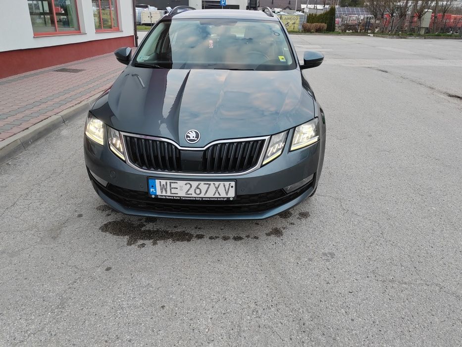 Skoda Octavia 2019 rok