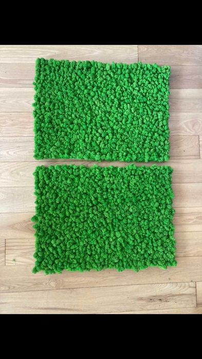 Panele z Mchu Chrobotka panel z Mech Chrobotek