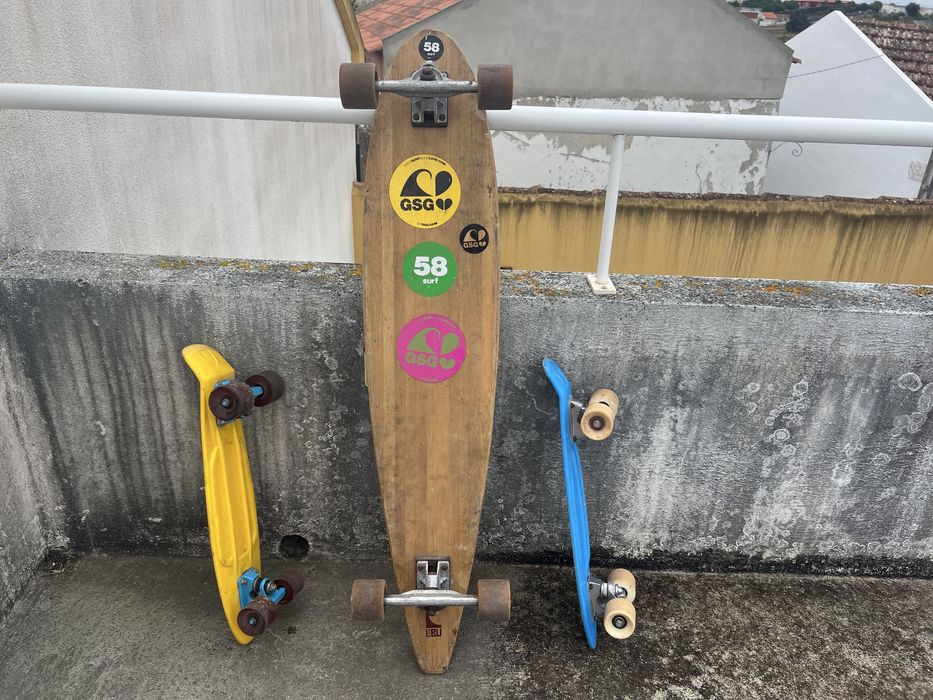Pranchas de skate / skateboards longboard e penny board