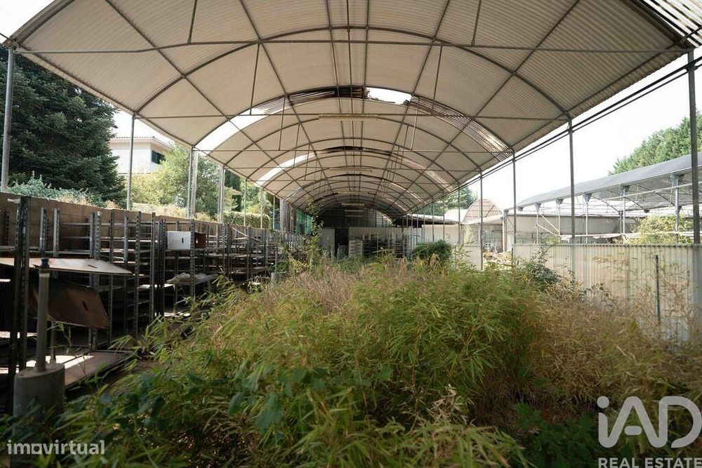 Terreno para construção em Borbela e Lamas de Olo de 2750,00 m2