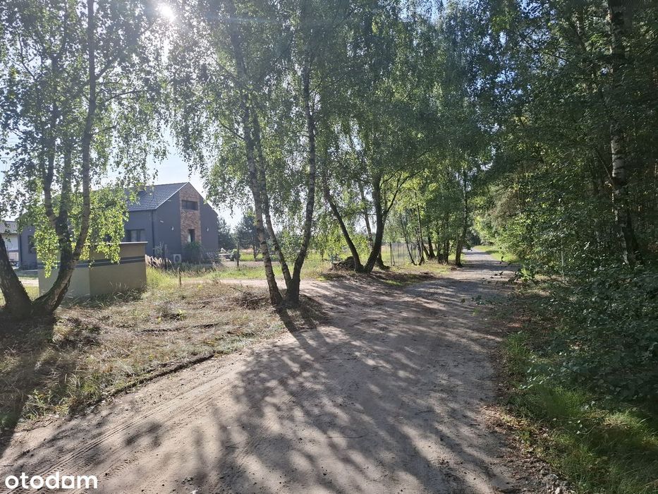 Trzykolne Młyny, 1 i 2 linia linia zabudowy od lasu, MPZP, - Widok 2