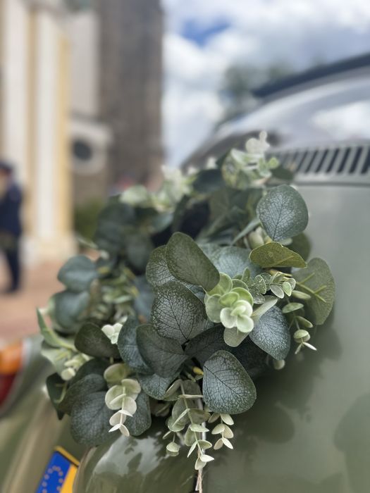 Auto do ślubu auto na wesele klasyk do ślubu garbus vw