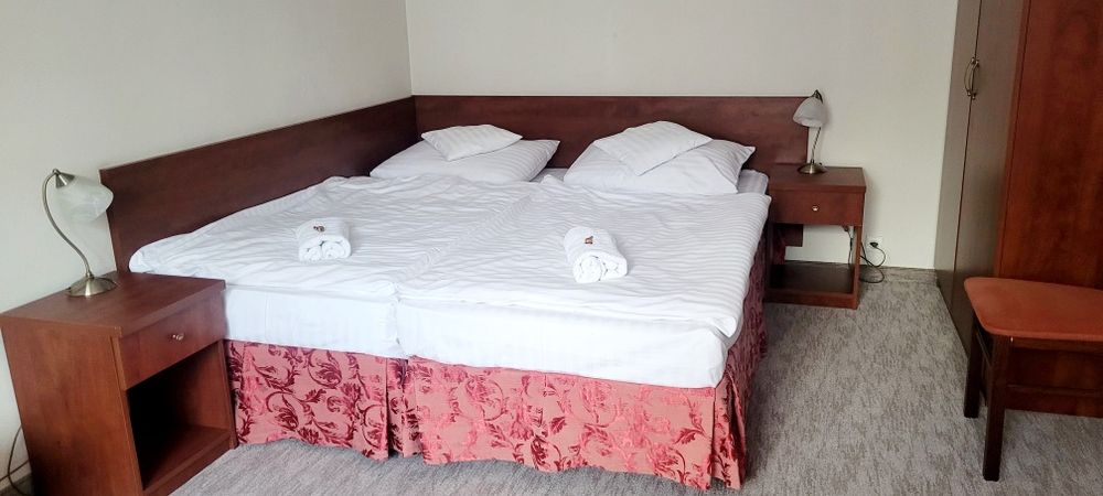 Apartament ELMET Tylicz