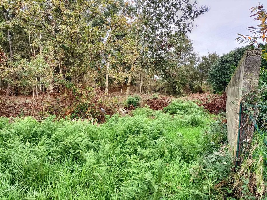 Vila Nova de Cerveira- Terreno com viabilidade para construção