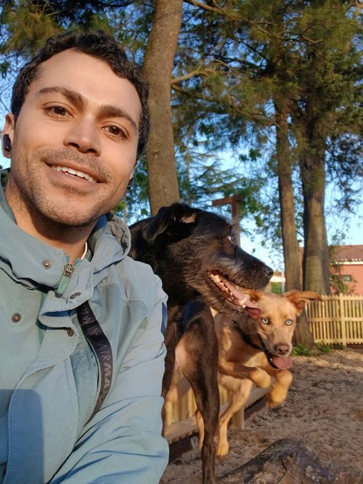 Pet Sitter e Dog Walker
