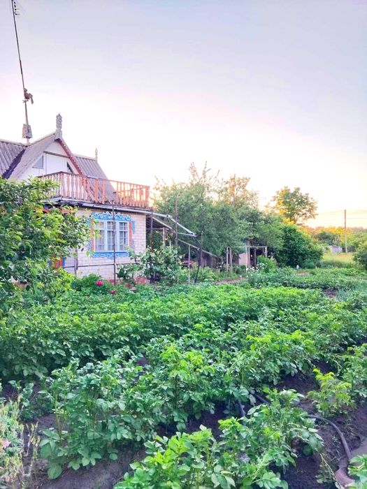 Продам дачу в садовому товаристві Світанок
